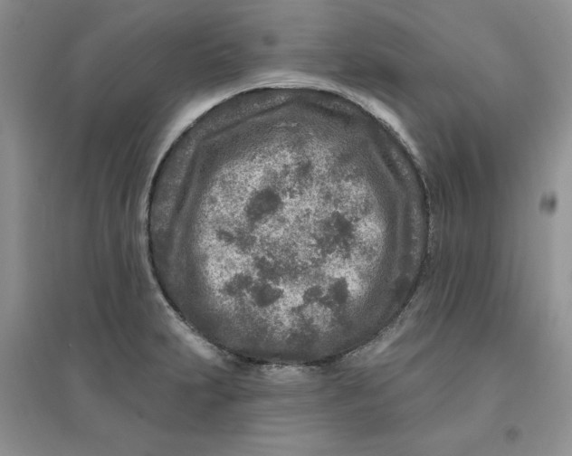 X0000096171231200802081403