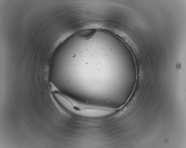 X0000096171233200802081403