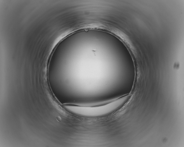 X0000096171234200802081404