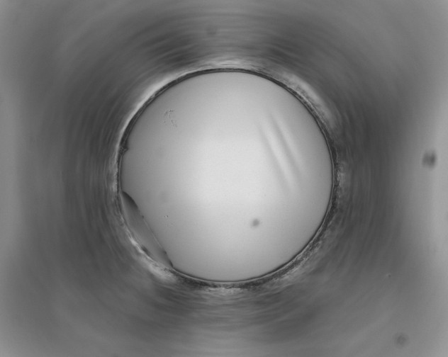 X0000096171236200802081404