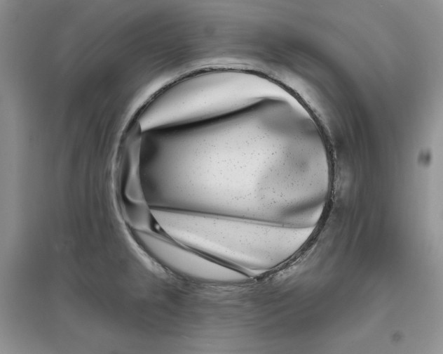 X0000096171237200802081404