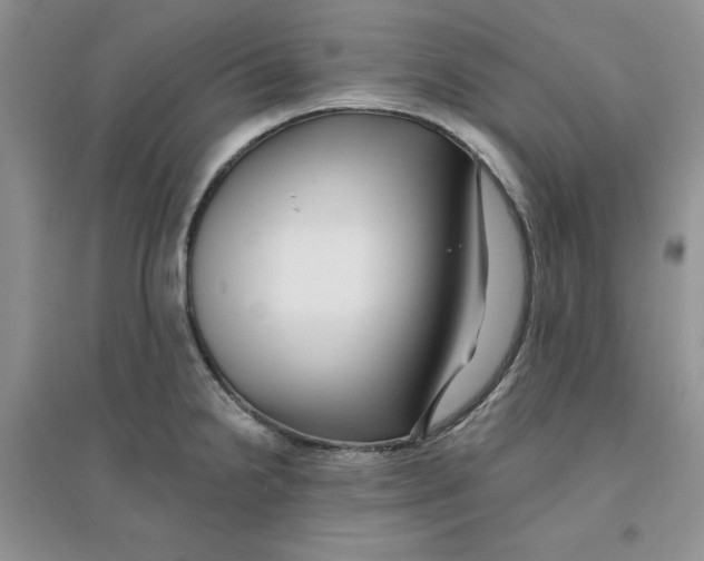 X0000096171238200802081404