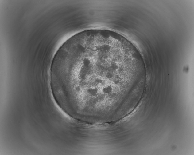 X0000096171239200802081404