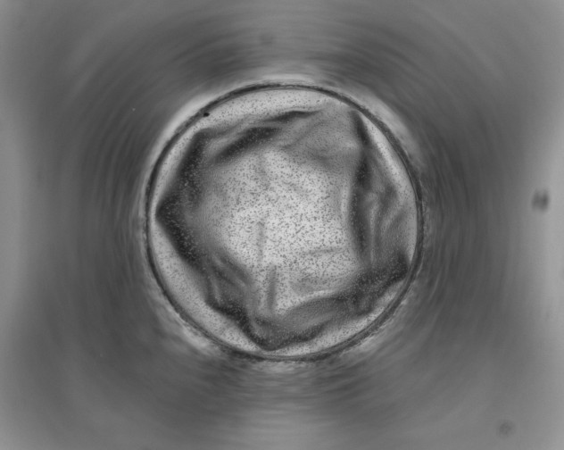 X0000096171240200802081404