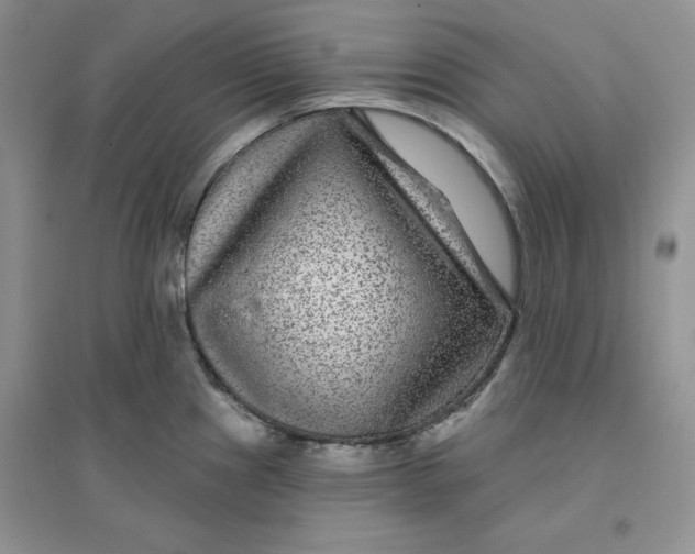 X0000096171241200802081404