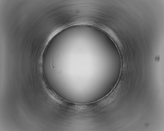 X0000096171242200802081404