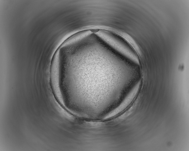 X0000096171244200802081404