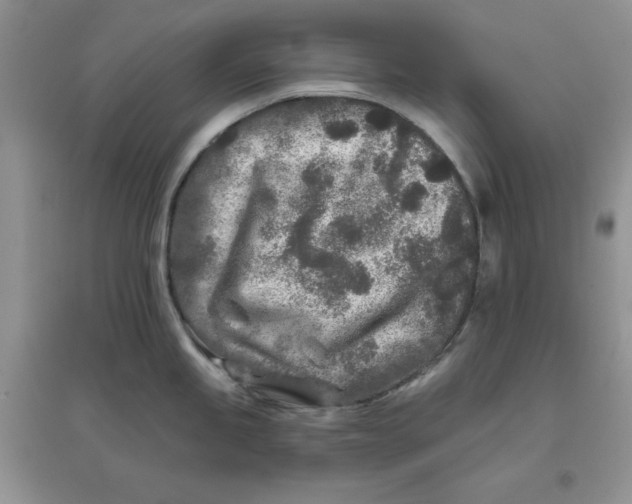 X0000096171245200802081404