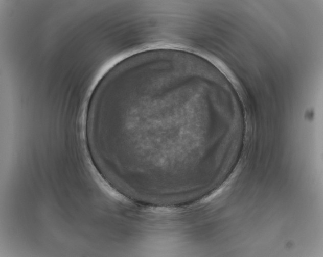 X0000096171246200802081404