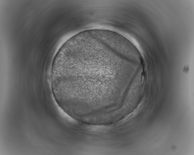 X0000096171247200802081404