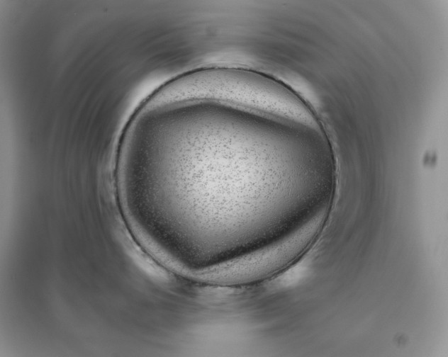 X0000096171248200802081404