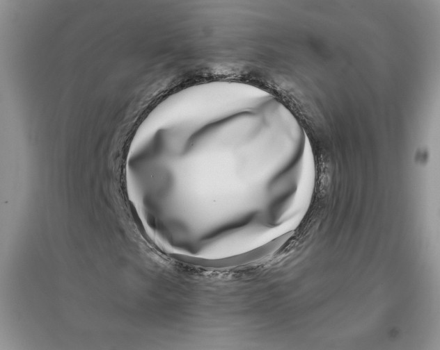 X0000096171249200802081403