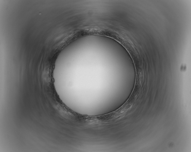 X0000096171250200802081403