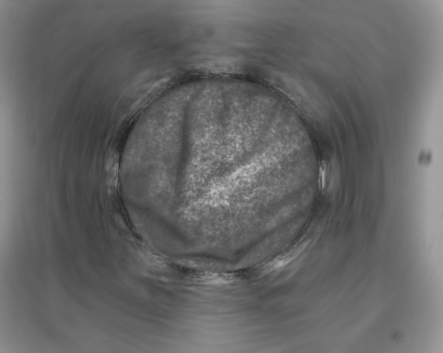 X0000096171251200802081403