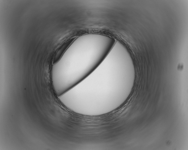 X0000096171252200802081403