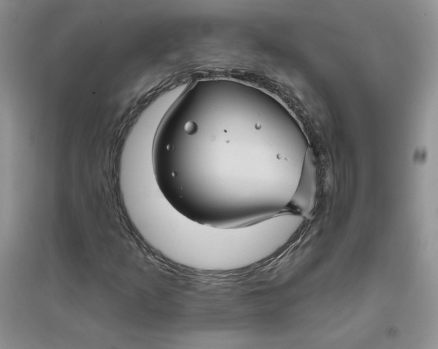 X0000096171253200802081403