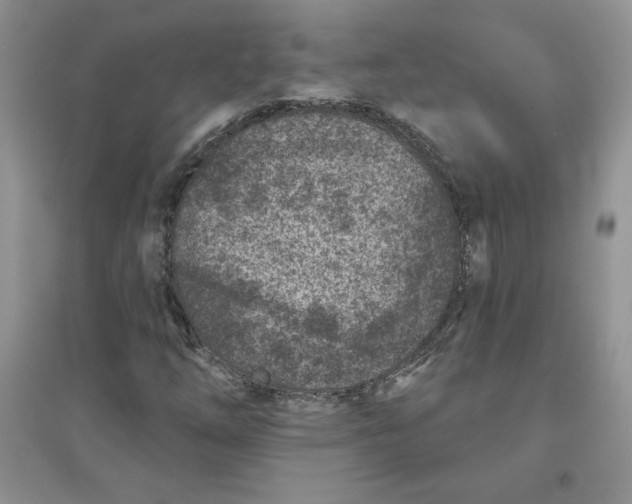 X0000096171254200802081403