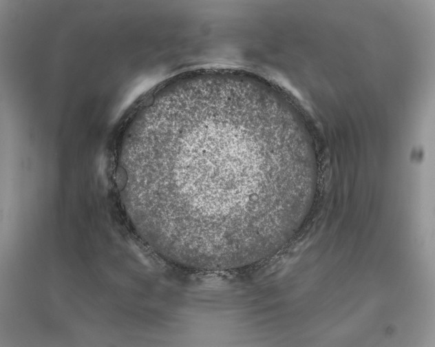 X0000096171255200802081403