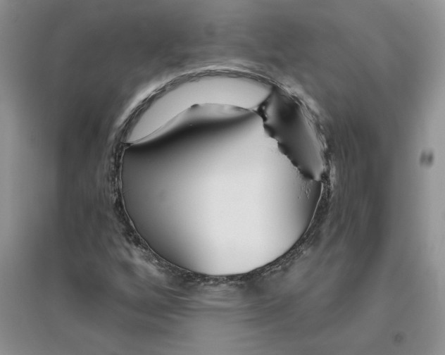 X0000096171256200802081403