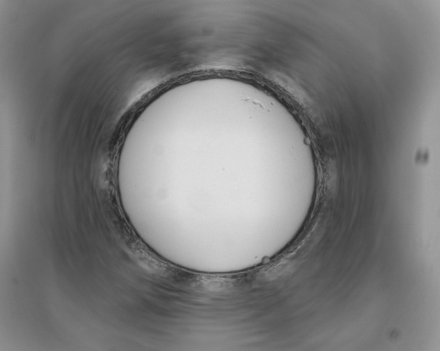 X0000096171258200802081403