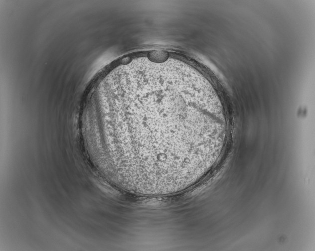 X0000096171259200802081403