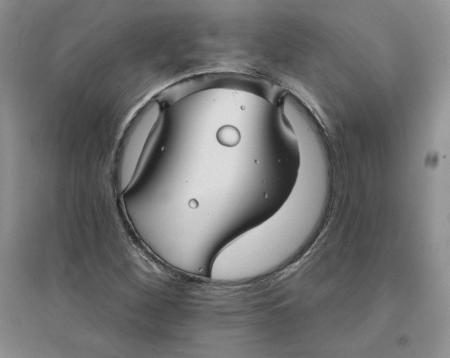 X0000096171260200802081403