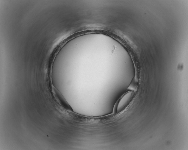 X0000096171261200802081403