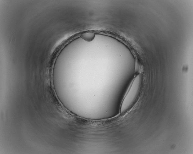 X0000096171262200802081403