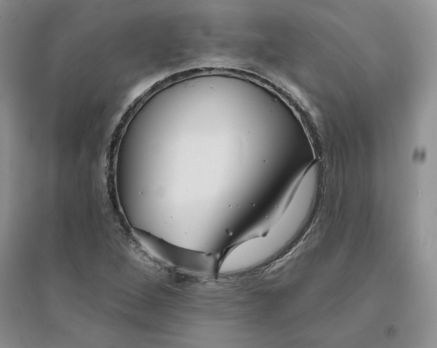 X0000096171264200802081403