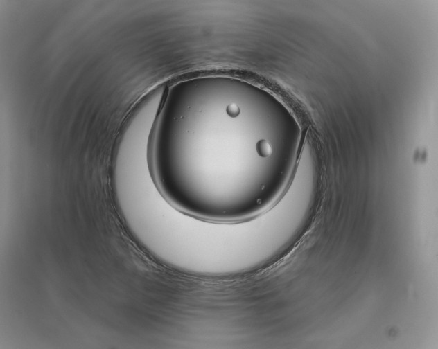 X0000096171265200802081403