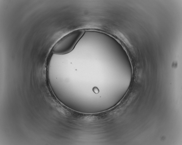 X0000096171268200802081403