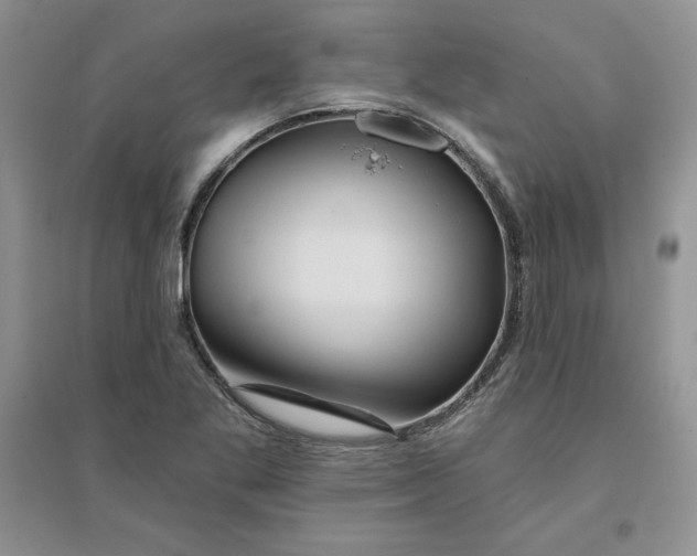 X0000096171269200802081403