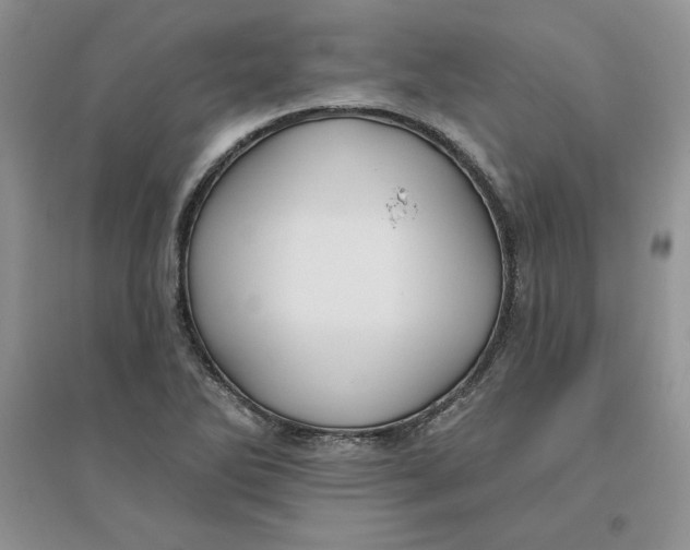 X0000096171270200802081403