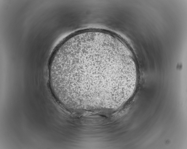 X0000096171271200802081403