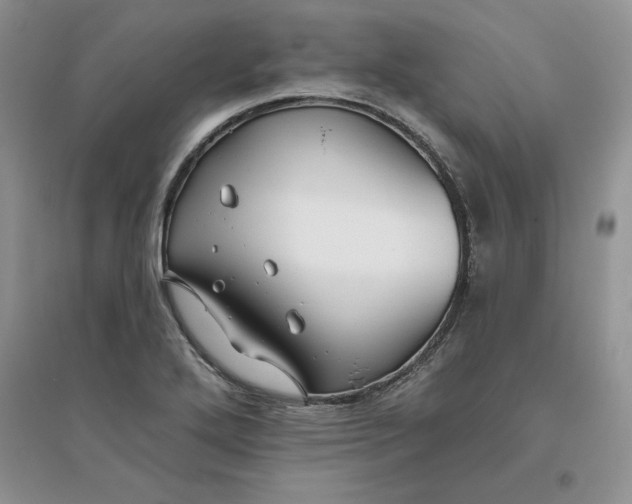 X0000096171272200802081403