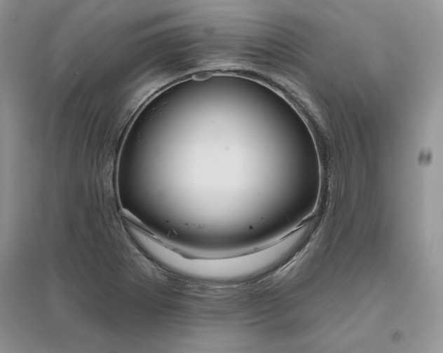 X0000096171273200802081403