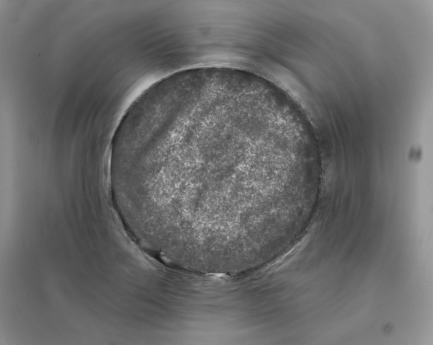 X0000096171275200802081403