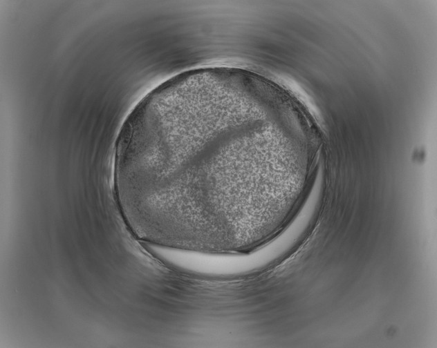 X0000096171276200802081403