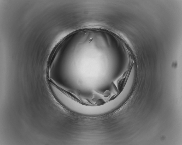 X0000096171277200802081403