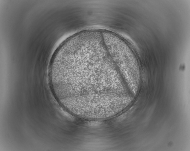 X0000096171278200802081403