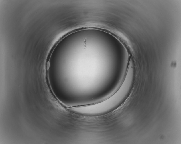 X0000096171280200802081403