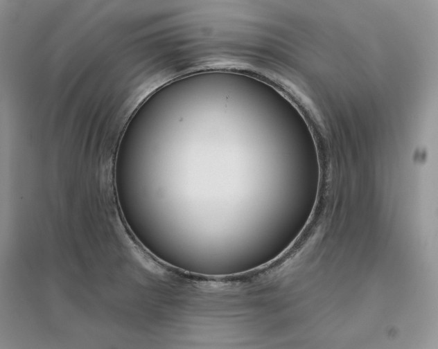 X0000096171281200802081403