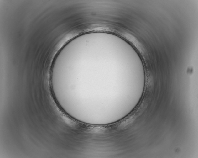 X0000096171282200802081403