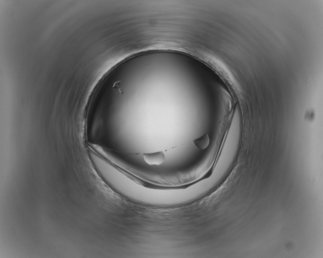 X0000096171284200802081403