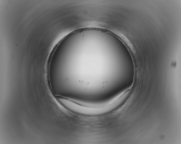 X0000096171285200802081403