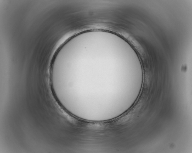 X0000096171286200802081403