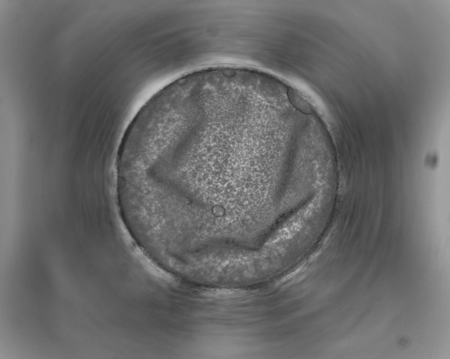 X0000096171287200802081403