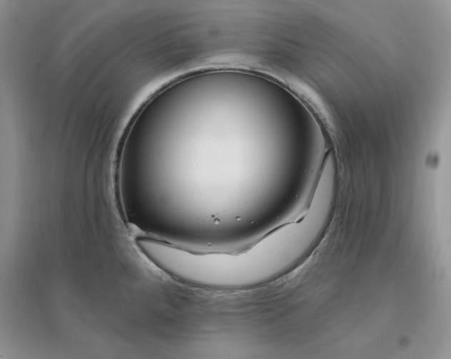 X0000096171288200802081403