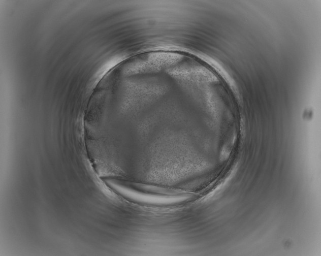 X0000096171289200802081402