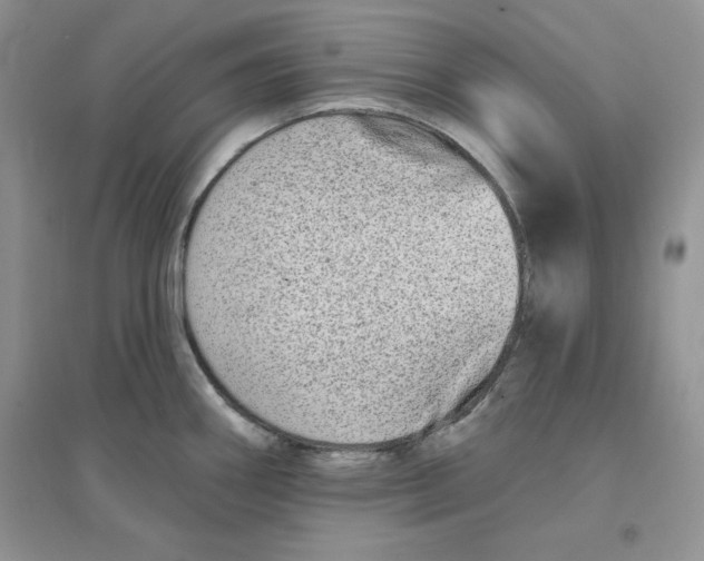 X0000096171290200802081402